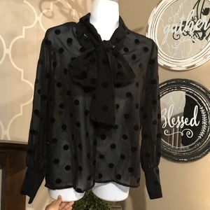 Polka dot sheer blouse